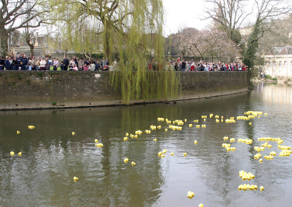 Duck Race- people watch the ducks float past in Westbury Garden