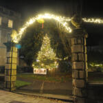 Christmas Tree lit up at the Westbury Gardens