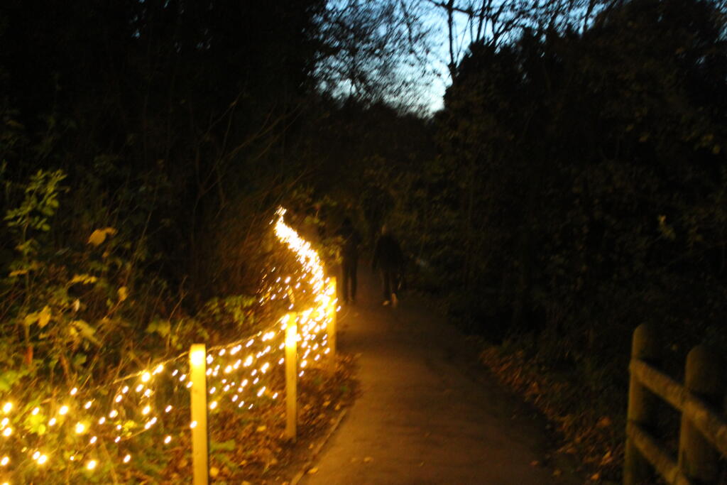 Festive lights along riverwalk, Bradford on Avon