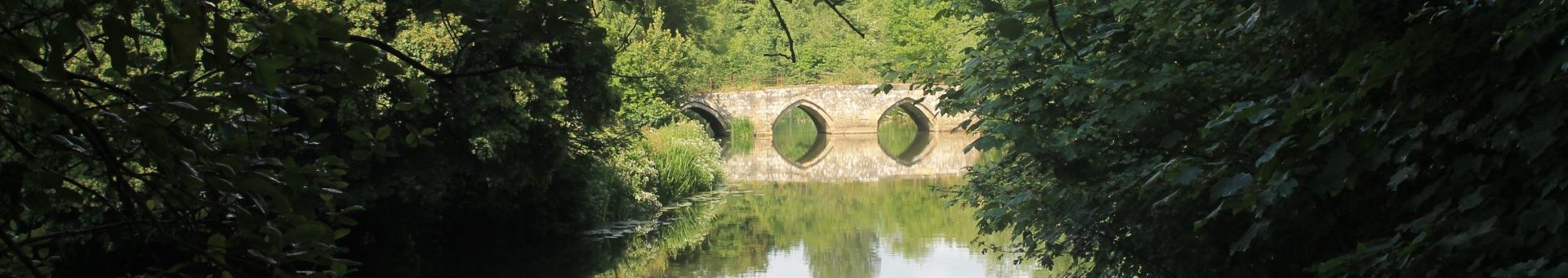 Photo looking up the river Avon in Barton Farm Country Park