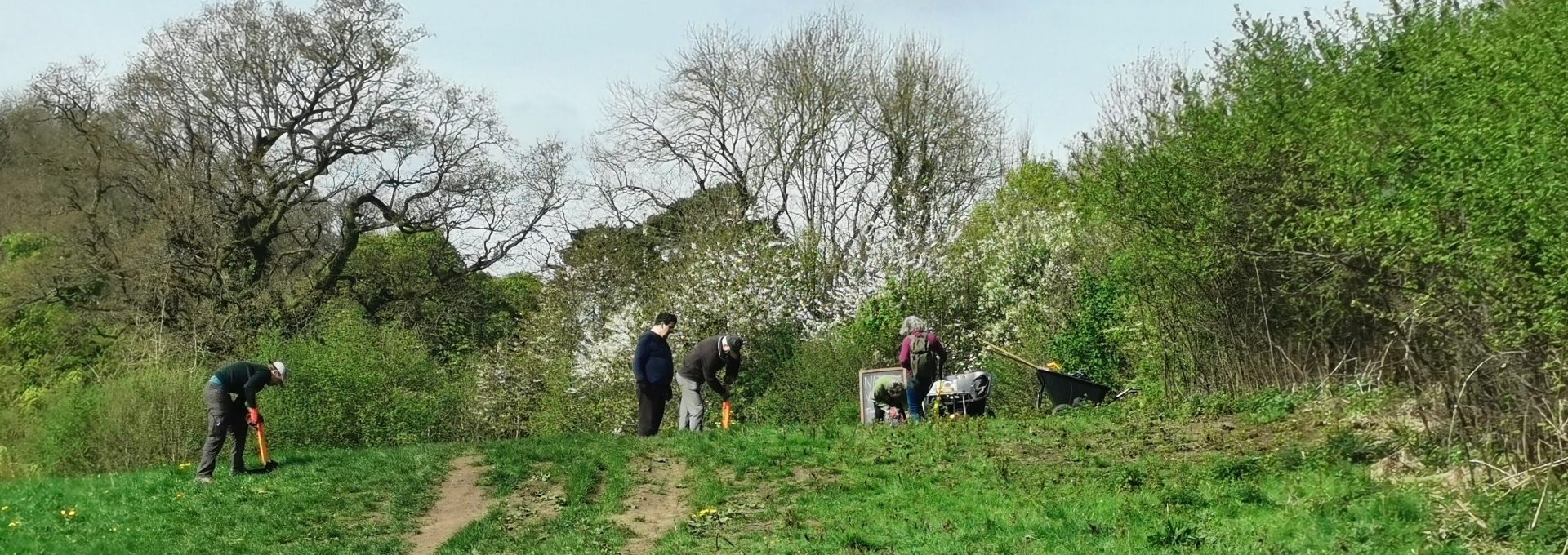 Nature volunteers